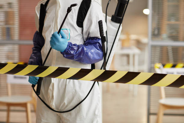 Professional Hoarding Cleanup technician working in Rio Vista, TX